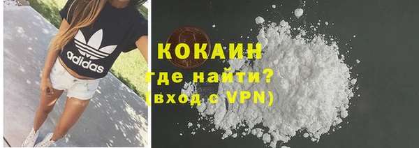 твердый Надым
