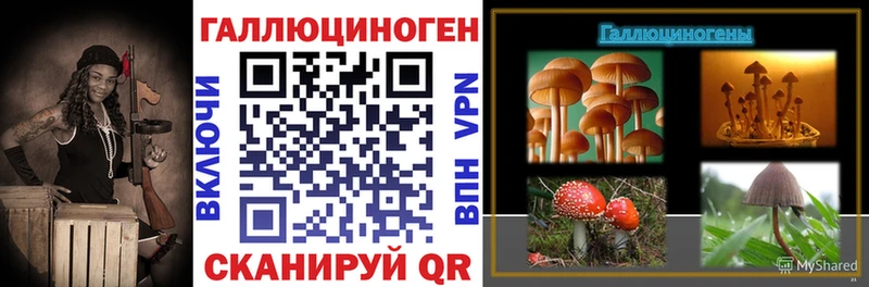 Псилоцибиновые грибы мицелий  блэк спрут как войти  Афипский  наркота 